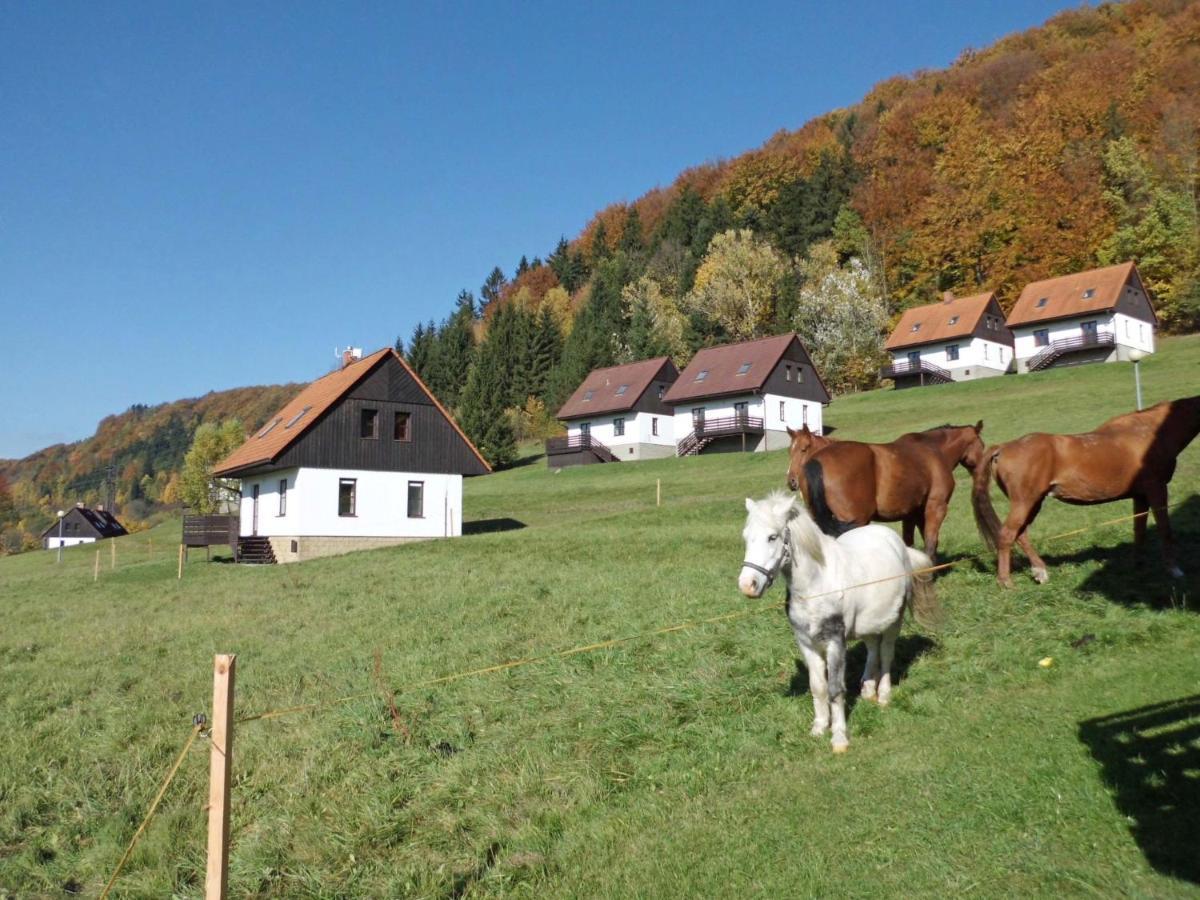Holiday Home Starkov By Interhome Exteriör bild