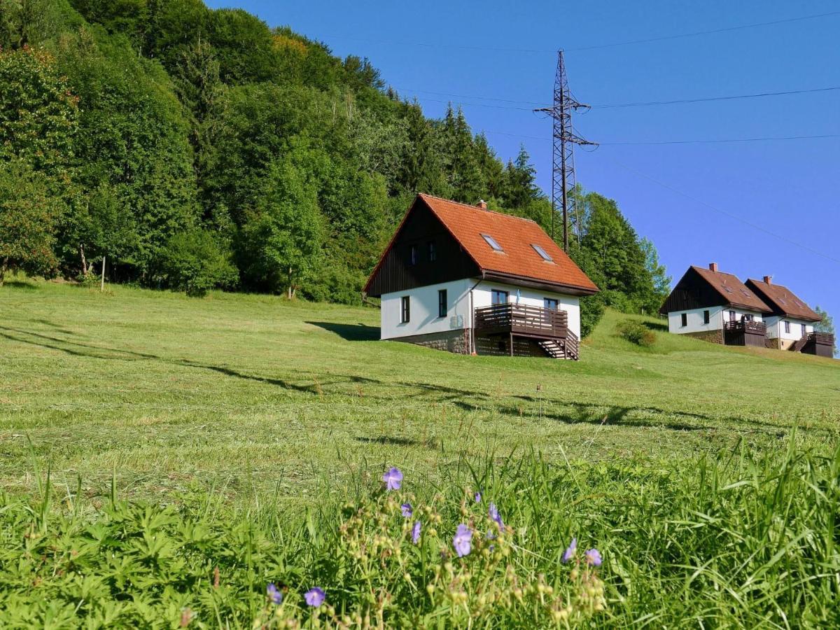 Holiday Home Starkov By Interhome Exteriör bild