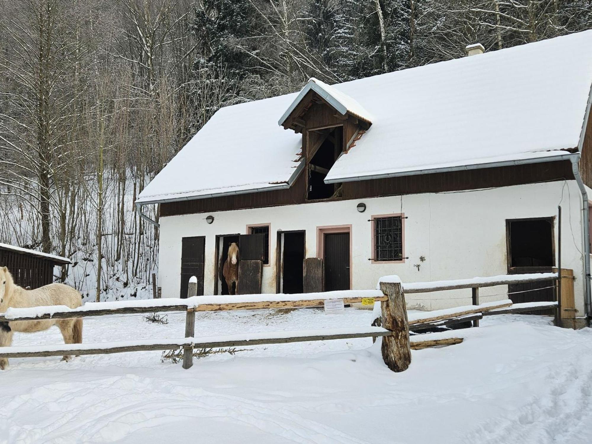 Holiday Home Starkov By Interhome Exteriör bild